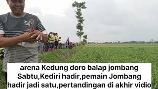 arena merpati balap Kedung jombang