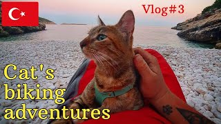 Nala cat's world adventures 🇹🇷 VLOG#3