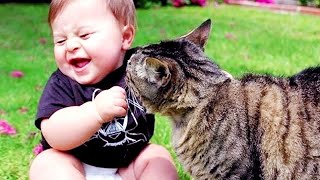 Cutest Babies Play With Dogs And Cats Compilation || Cool Peachy