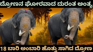 ದ್ರೋಣ ಹದಿನೆಂಟು ಬಾರಿ ಚಿನ್ನದ ಅಂಬಾರಿಯನ್ನು ಹೊತ್ತು ಸಾಗಿದ ಮಹಾನ್ ವೀರ ಜೀವನ,ಅಂತ್ಯ, drona elephant life#dasar