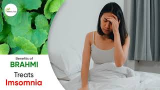 Ayurvedic Benefits of Brahmi | ब्राह्मी के आयुर्वेदिक लाभ | Dr. Neha Ahuja