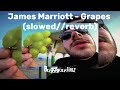 James Marriott - Grapes (slowed//reverb) *REMAKE*