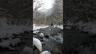 Zen Moment - Relaxing Spa Music Snow Falling on Winter Forest Stream