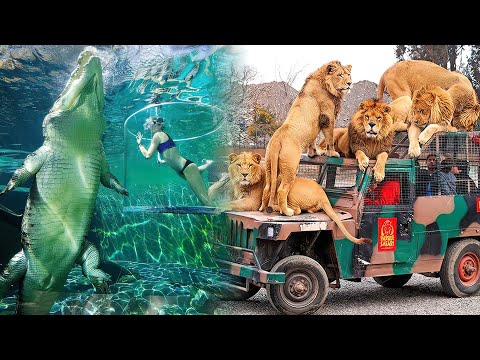 What are the top 3 zoos?