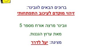 ערוץ הגננות - וובינר זיהוי מוקדם לעיכוב התפתחותי