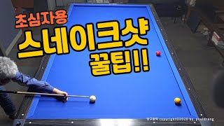 (256)🧡[최고의선택] 스네이크 샷 - (초심자용) 스네이크 샷의 기준 이해하기!!