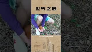 人与动物真的可以和谐相处！#万物皆有灵性 #神奇动物在抖音 #善待动物 #带你看世界之最