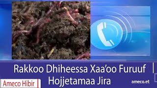 AMECO HIBIR: Rakkoo Dhiheessa Xaa'oo furuuf Hojjetamaa Jira 13/06/2017