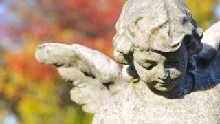 Final Farewells Funeral Pre-Planning Expert services - Make On the internet Funeral Preparations