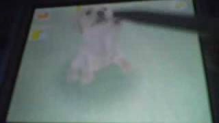 Nintendogs Training Session: Beginner Class Opener