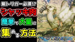 【PSO2 NGS】紫トリガー必須！？「シャッキ肉」をお手軽に集める方法！！【攻略/解説/小技/裏技/効率/リテナ/パープル】【大翔/yami】