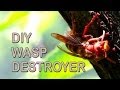 How To Get Rid Of Wasps