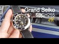 Grand Seiko 2017 Hi-Beat Professional 600m Diver SBGH255 Simple Review