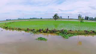 অপরূপ বাংলার অসাধারণ সৌন্দর্য || সুতাং নদী হবিগঞ্জ | Travel Bangla