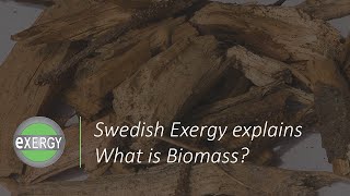 What is biomass?