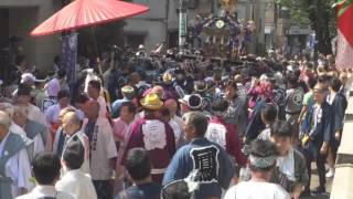 平成29年　品川区旗の台＜旗岡八幡神社＞新調宮神輿お披露目＝宮出・渡御