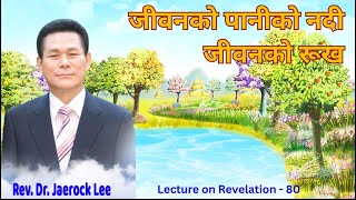 प्रकाश (Revelation 80) - जीवनको पानीको नदी र जीवनको रूख