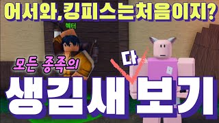 킹피스 모든 종족의 모습 보여줄게 킹레거시 업데이트 밍크족의 모습은? 초보자 가이드 ROBLOX King Legacy