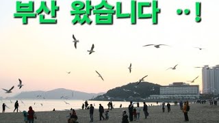 부산  왔습니다 ᆢ !