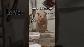 Diet mummy diet #funny #comedy #humour #mandir #clips #meme #memes #mummy #mouse