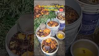 இதோ உங்களுக்காக ருசியான சுவை மிகுந்த தேன் tasty honey #food #cooking #streetfood