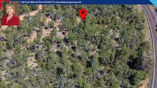 4521 N Pine Hollow Trail, Pine, AZ 85544