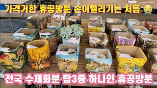 전국 수제화분 탑3중 한군대 휴공방분 하나하나 작품같은 그림들 수제화분의 명품 #휴 #달숲 #애플트리 #다육화분 #수제화분 #달콤한총각다육