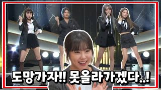 [마마무] 긴장하고 올라가서 찢은 청룡무대 (배우분들 웃음꽃 활짝)