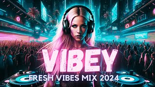 Vibey House Mix 2024 (Fresh Vibes)