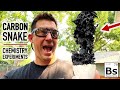 3 AMAZING Carbon Snake Experiments - Chemistry Demos