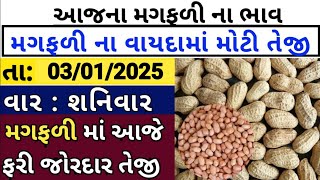 magfali na bhav  | 04-01-2025 l મગફળી ના ભાવ | jamnagar marketing yard and gondal marketing yard