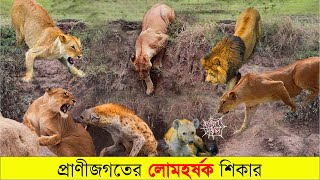 Tiger Cheetah \u0026 Leopard Attack Hyena | প্রাণীজগতের লোমহর্ষক শিকার