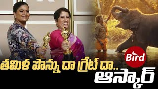 ఆస్కార్ గెలిచిన ది ఎలిఫెంట్ విస్పరర్స్ || Oscar For 'The Elephant Whisperers' | Bird Media |