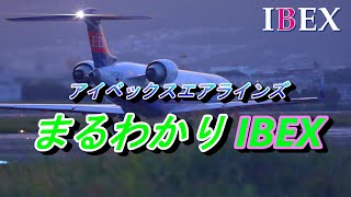 プレミア感満載 アイベックスでしか乗れない エンジンが特徴的なCRJ【アイベックスエアラインズ IBEX 飛行機 乗り方】