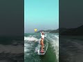 不同颜色的冲浪 surfing surf summer sports sea