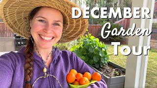 2024 December Garden Tour