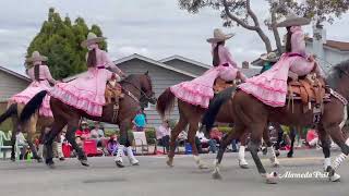 Alameda July 4th, 2022 Parade Equestrian Entries in 4K