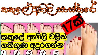 කකුලේ ඇගිලි වල පිහිටීම අනුව ඔබගේ චරිත ලක්ෂණ | කකුලේ හැඩය අනුව ගතිලක්ෂණ| Toes charactoristics | පලාඵල