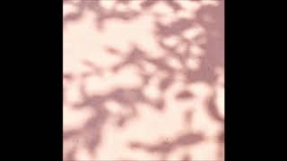 Pîrvu - Clue