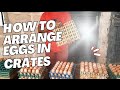 How to Turn Eggs in Crates in 2 seconds: An important skill in Egg Supply Business