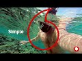 Fiji Tourist eSIM