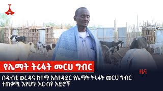 በዱብቲ ወረዳና ከተማ አስተዳደር የሌማት ትሩፋት መርሀ ግብር ተጠቃሚ እየሆኑ አርብቶ አደሮች Etv | Ethiopia | News