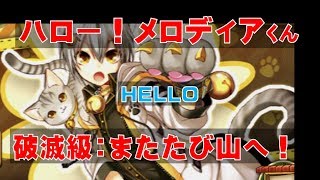 【白猫プロジェクト】ハロー！メロディアくん　HELLOモード　破滅級：またたび山へ！（追加分）