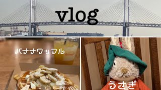 【vlog】横浜満喫の１日