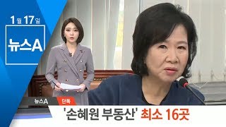 [단독] 목포 문화재거리 ‘손혜원 부동산’ 최소 16곳 | 뉴스A