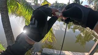 BARRAMUNDI HUNT AT MANG ABET POND | MALABON CITY | LURE FISHING