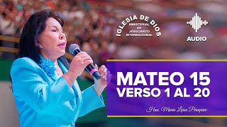 Mateo 15: versos 1 al 20,  Hna. María Luisa Piraquive, IDMJI
