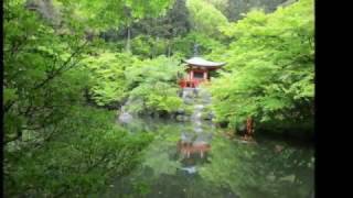 京都の新緑寺院 Fresh green of Kyoto　　醍醐寺 daigo-ji