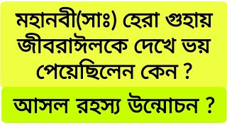 নবীপাক(সাঃ) কি অাসলেই হেরা গুহায় ভয় পেয়েছিলেন কিনা ? সেই রহস্য উন্মোচন ?