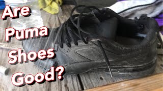 Are Puma shoes good? Puma shoes review.